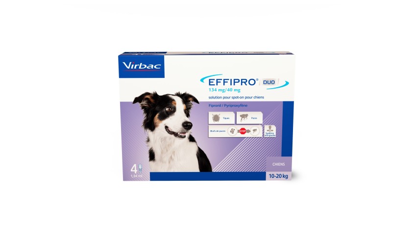 EFFIPRO SPOT-ON 10-20 KG 4 PIPETAS