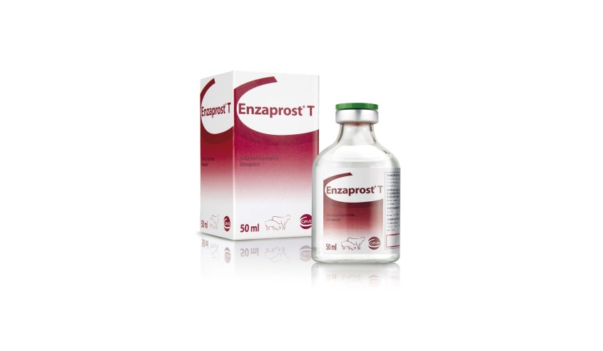 ENZAPROST-T 50 ML.