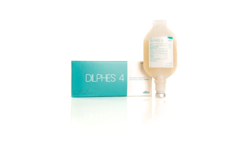 DILPHES-4 PASTERELLA 250 ML