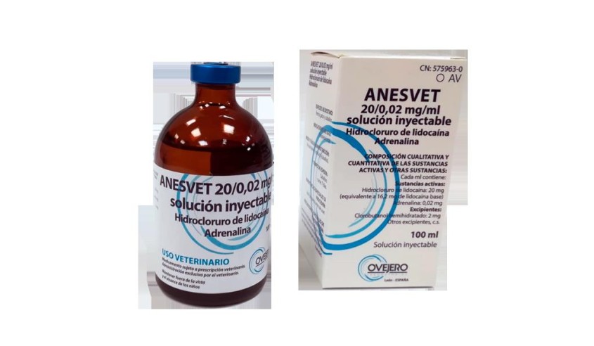 ANESVET 100 ML