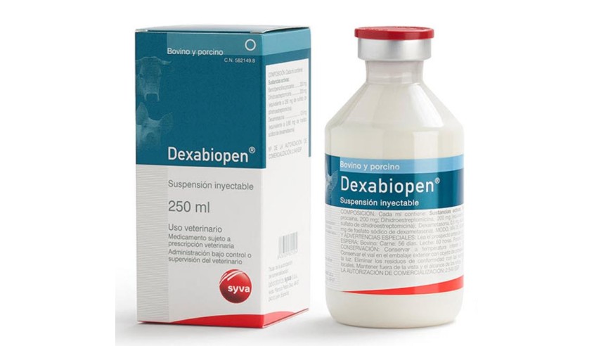 DEXABIOPEN 100 ML