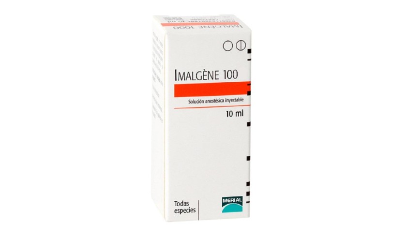 IMALGENE 100 MG/ML SOL. INYECTABLE 10 ML