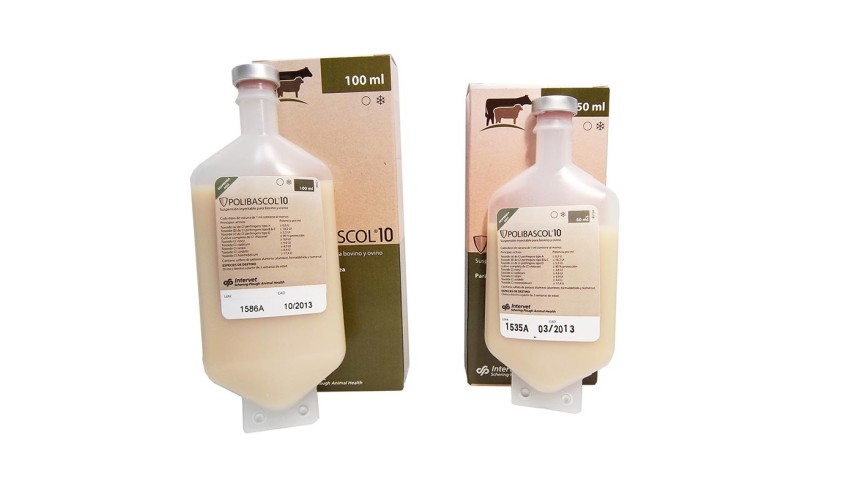 POLIBASCOL 10 100 ML