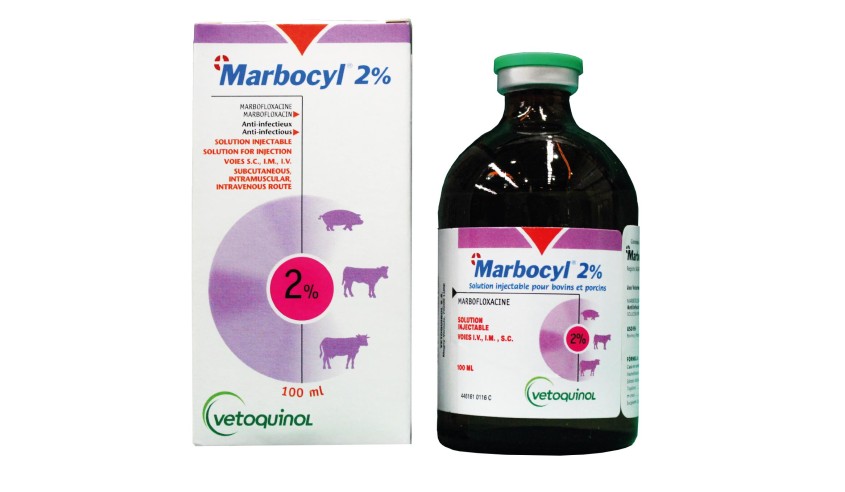 MARBOCYL 20 MG/ML 100 ML