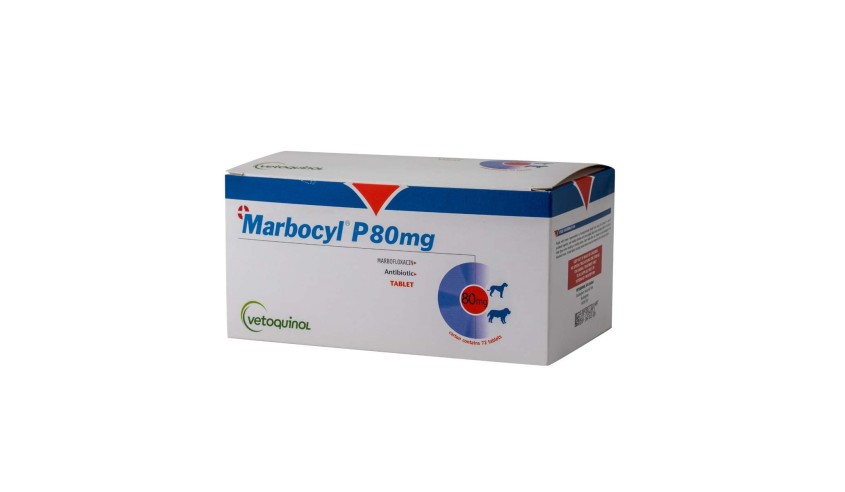 MARBOCYL P 80 MG 72 COMP.