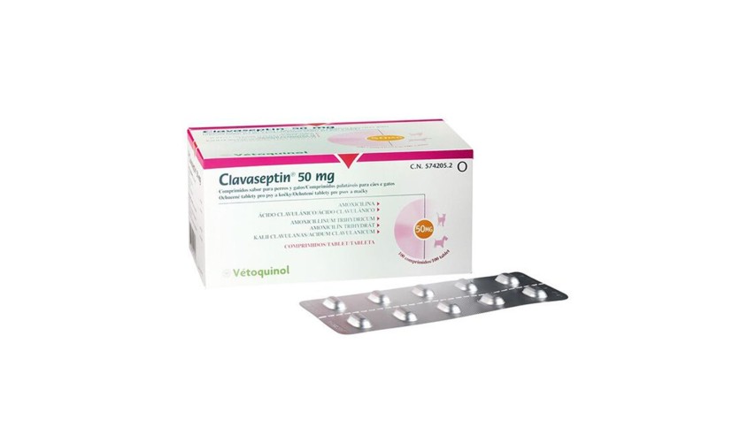 CLAVASEPTIN 50 MG 100 COMP.