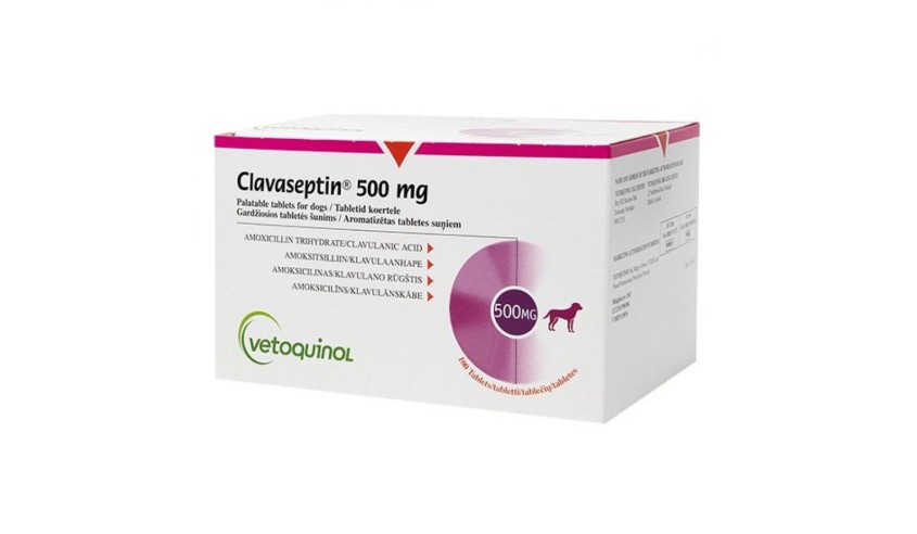 CLAVASEPTIN 500 MG 100 COMP.