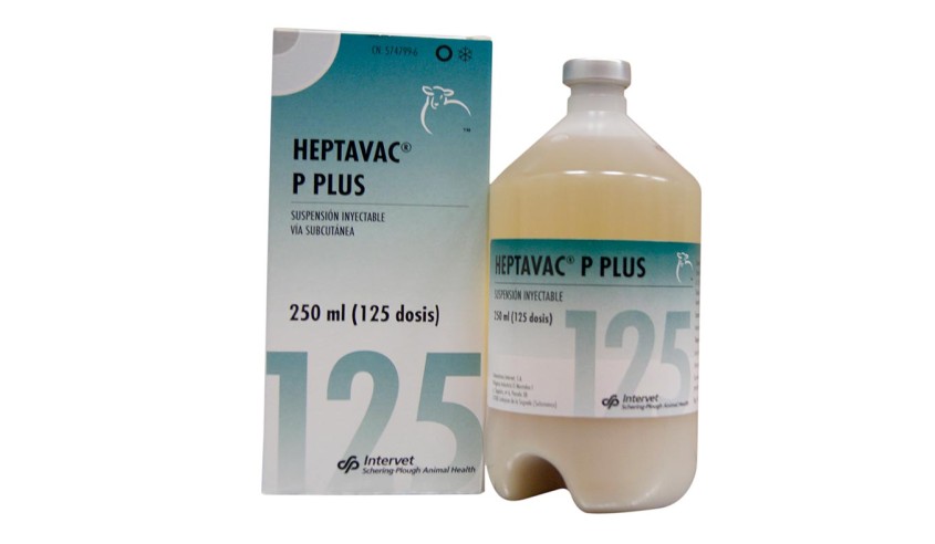 HEPTAVAC-P PLUS 250 ML