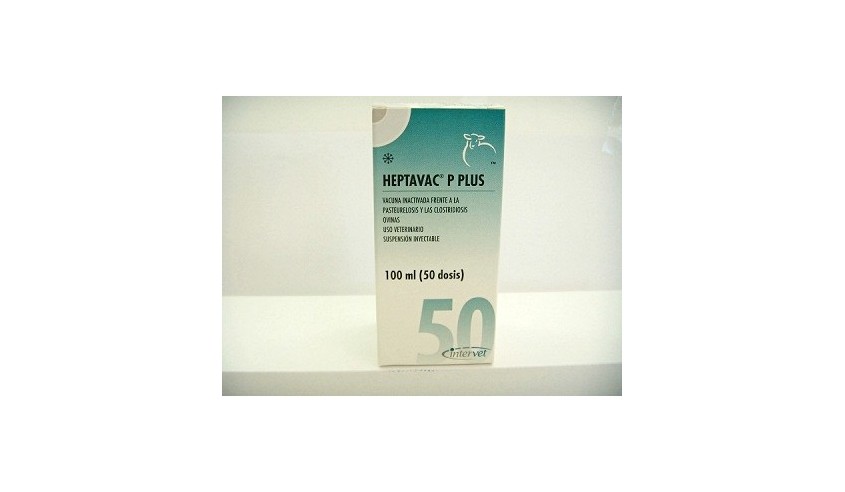 HEPTAVAC-P PLUS 100 ML