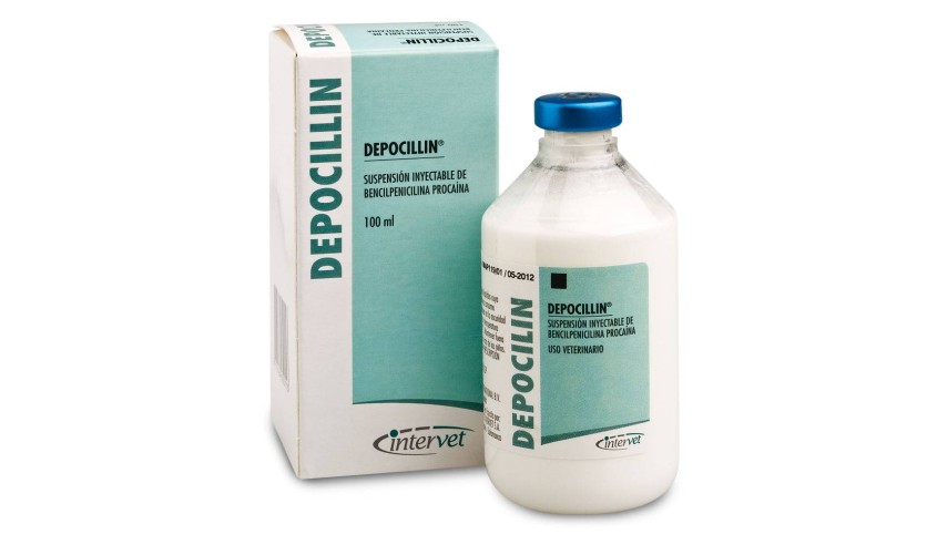 DEPOCILLIN 250 ML