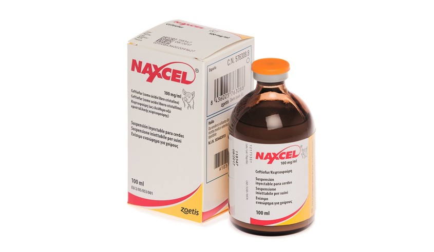 NAXCEL PORCINO 100 ML