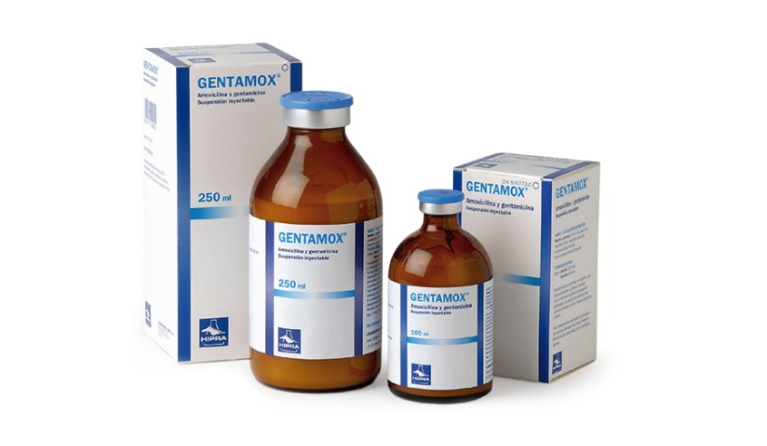 GENTAMOX 250 ML