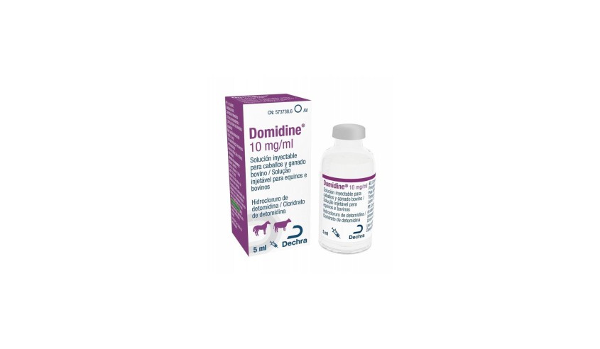 DOMIDINE 10MG/ML 5 ML