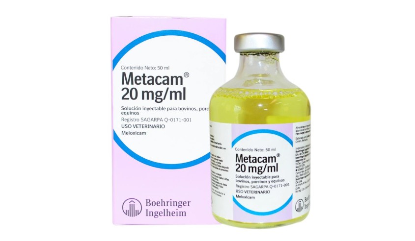 METACAM 20 MG/ML SOL. INYECTABLE 100 ML