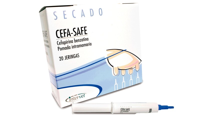 CEFA-SAFE 20 JERINGAS