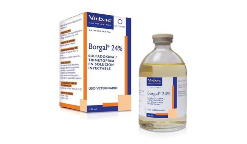 BORGAL 100 ML