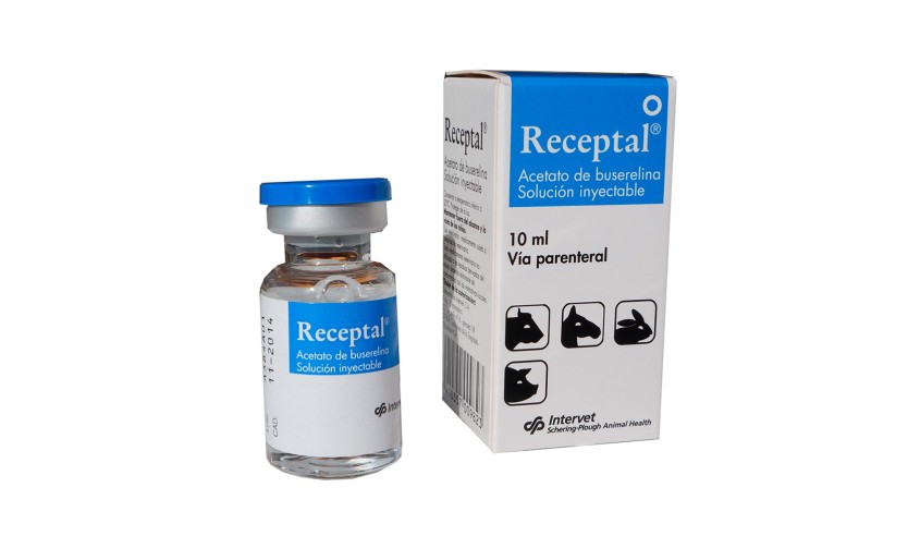 RECEPTAL 10 ML