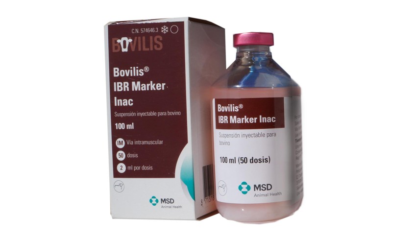 BOVILIS IBR MARKER INAC 100 ML 50 DOSIS