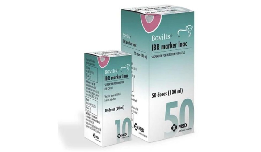 BOVILIS IBR MARKER INAC 20 ML 10 DOSIS