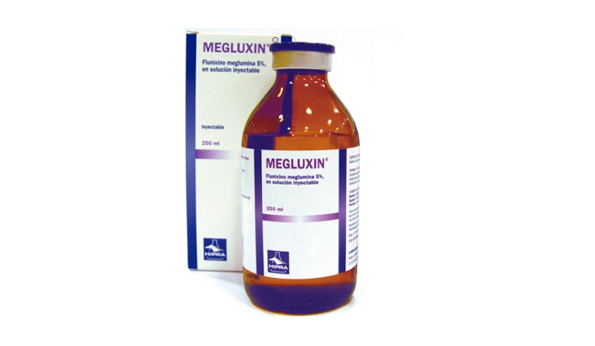 MEGLUXIN 250 ML