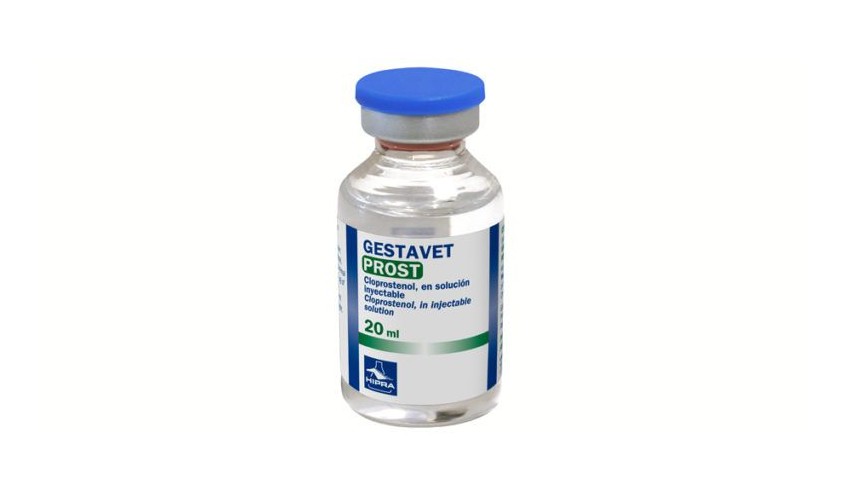 GESTAVET-PROST 20 ML