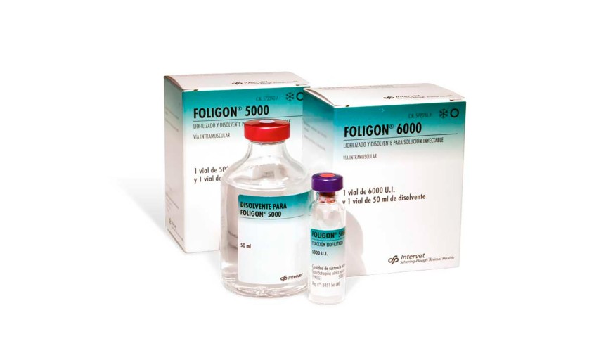 FOLIGON 6000 U.I.