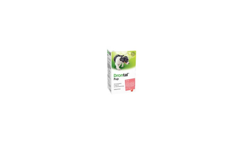 DRONTAL CACHORROS SUSP. ORAL 50 ML