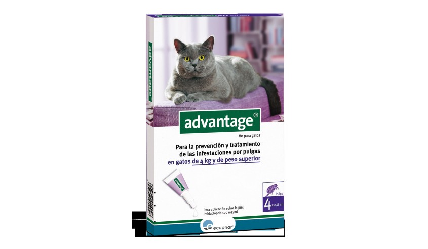 ADVANTAGE-80 GATO 4-8 KG 4 PIPETAS