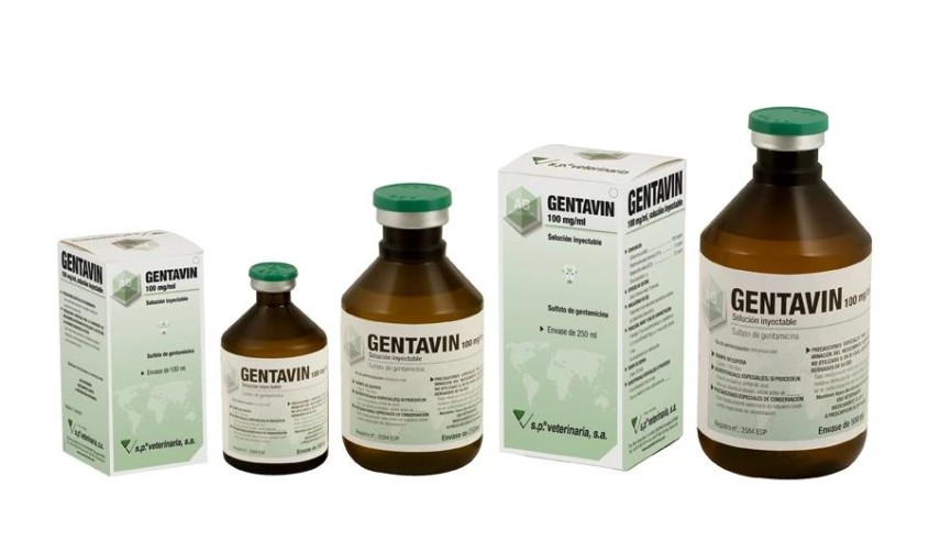 GENTAVIN 100.000 UI/ML 250 ML