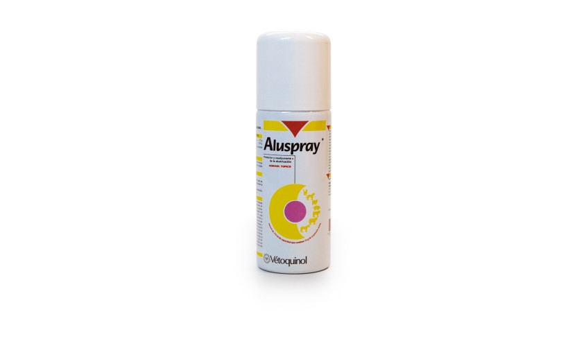 ALUSPRAY 210 ML