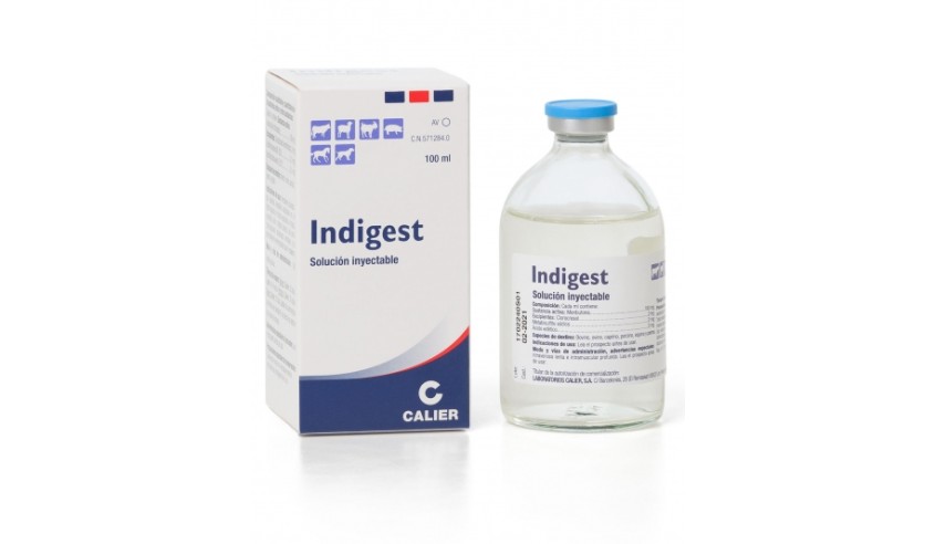 INDIGEST 100 ML