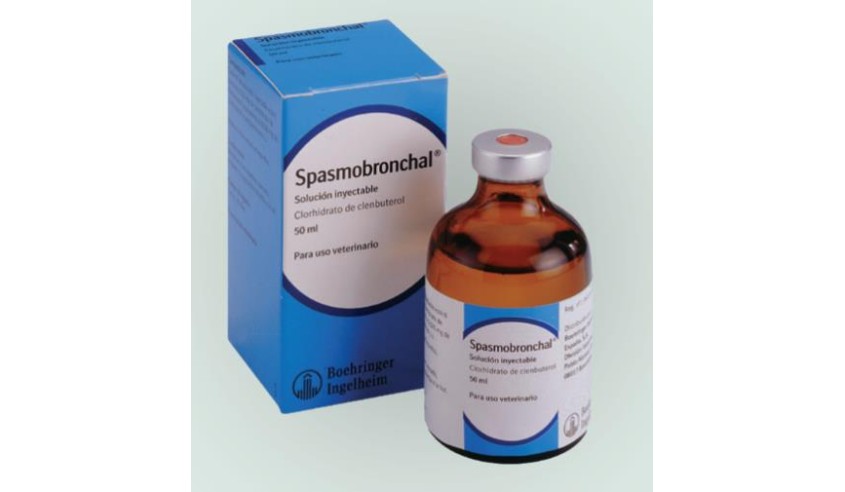 SPASMOBRONCHAL 0,03 MG/ML SOL. INYECTABLE 50 ML