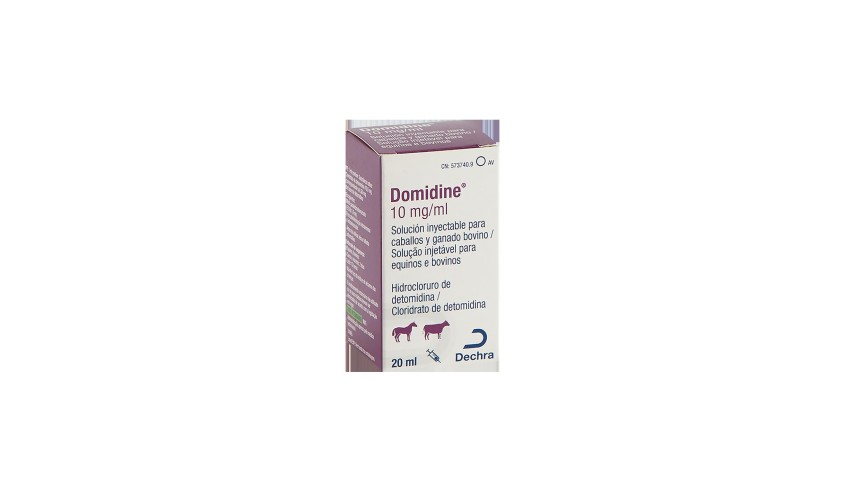 DOMIDINE 10MG/ML 20 ML