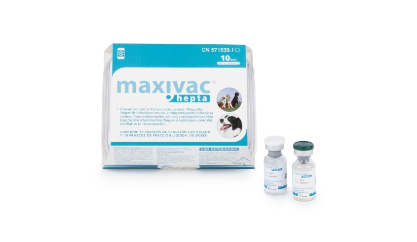 MAXIVAC HEPTA 10 DOSIS