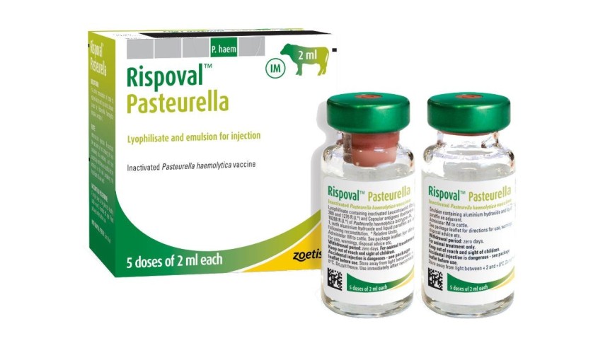 RISPOVAL PASTERELLA 5 DOSIS