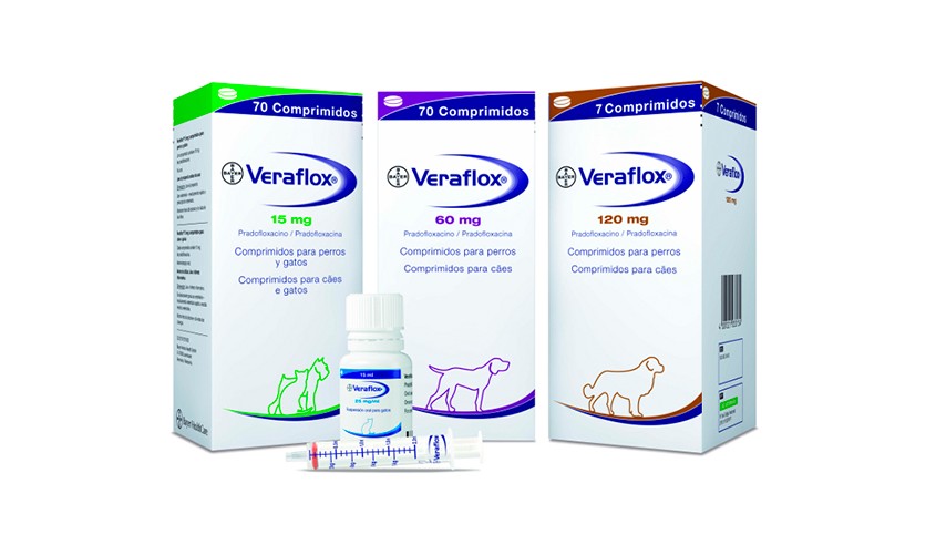 VERAFLOX SUSP ORAL GATO 15 ML