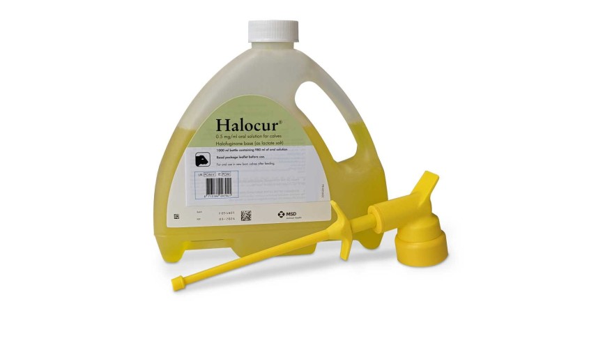 HALOCUR ORAL 980 ML + DOSIFICADOR