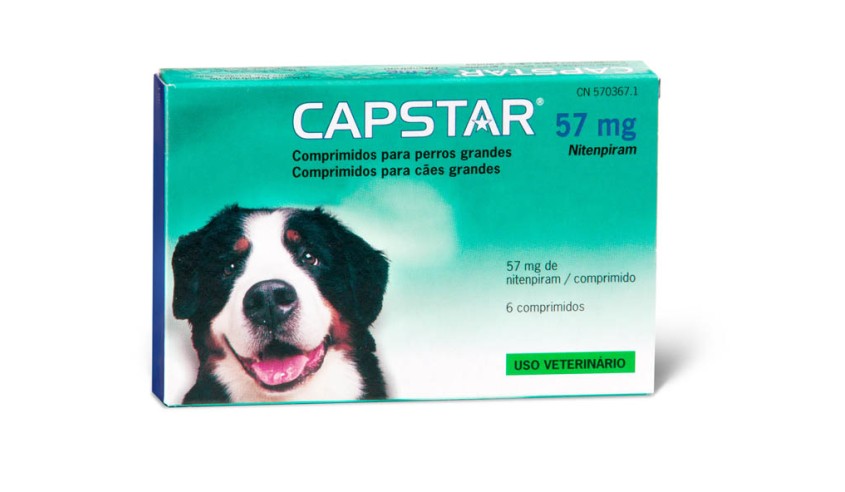 CAPSTAR 57 MG 6 PASTILLAS