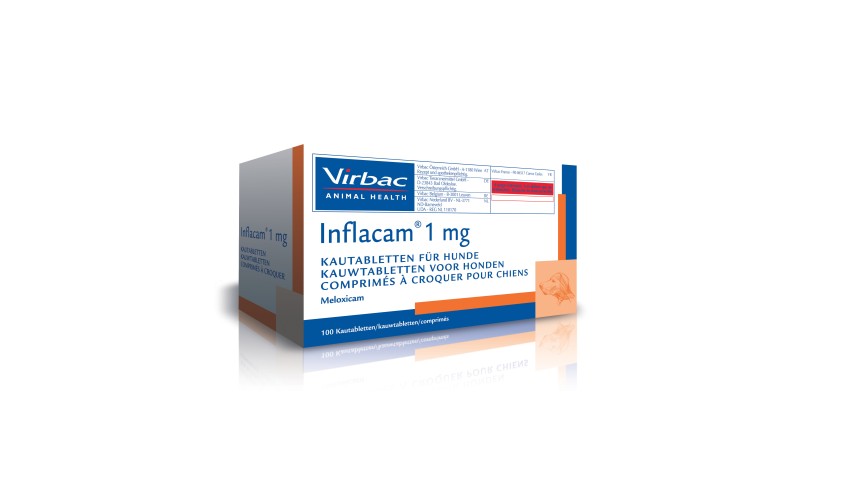 INFLACAM MASTICABLE 1 MG 100 COMP