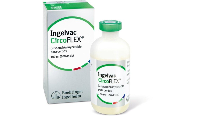 INGELVAC CIRCOFLEX 100 ML 100 DOSIS