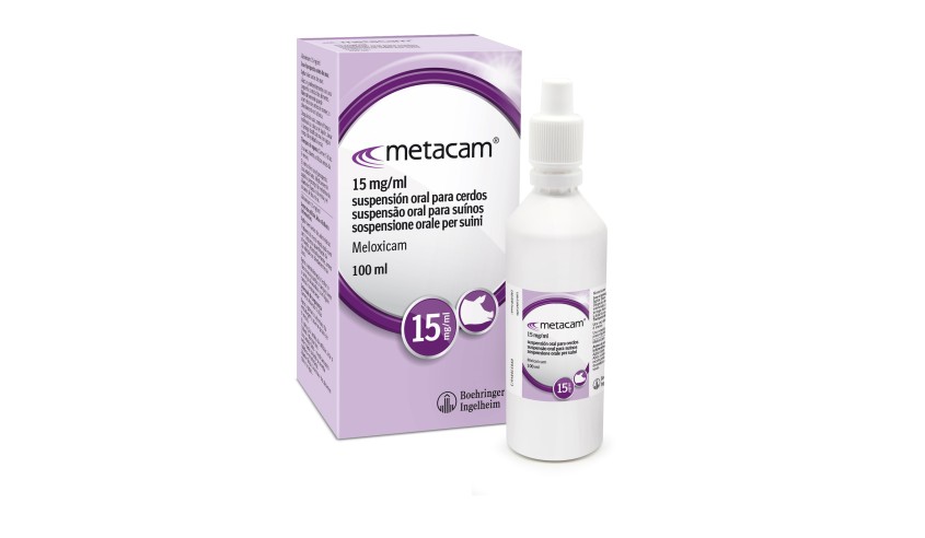 METACAM SUSP. ORAL PORCINO 15mg/ml 100 ML