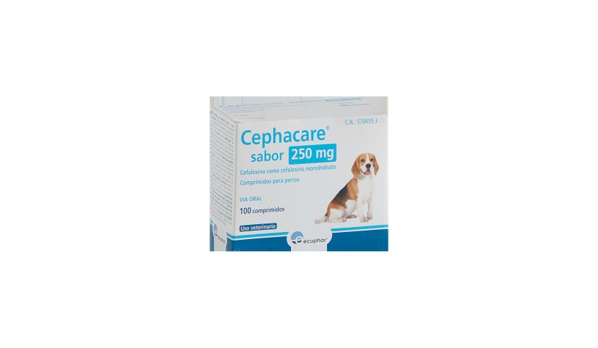 CEPHACARE SABOR 250 MG 100 COMP