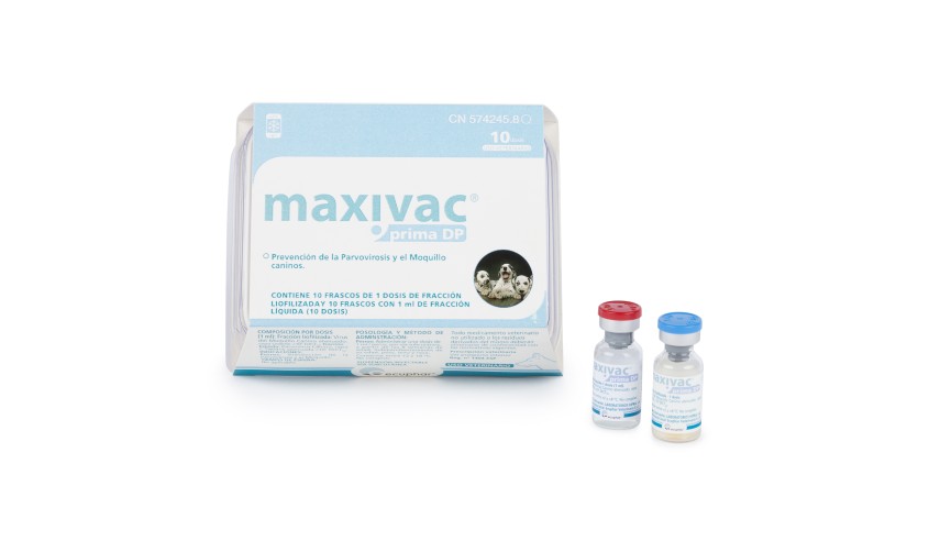 MAXIVAC PRIMA DP 10 DOSIS