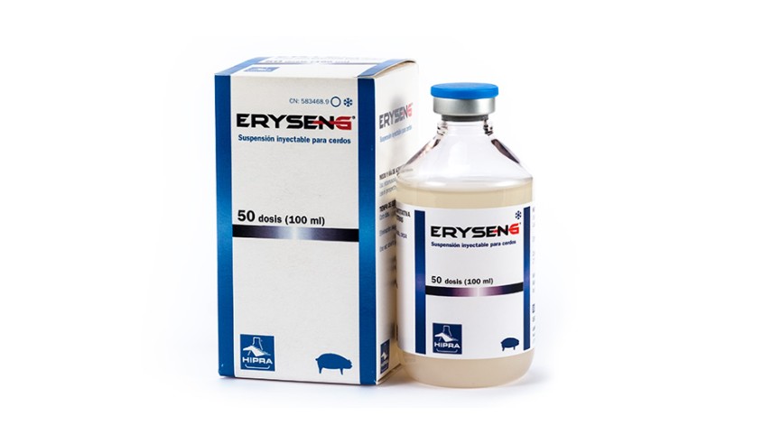 ERYSENG 50 DS