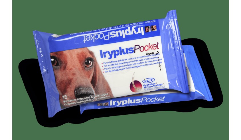 IRYPLUS POCKET 15 TOALLITAS