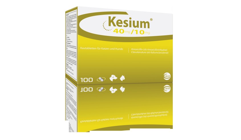 KESIUM 40/10 MG - PERRO Y GATO -100 COMP 