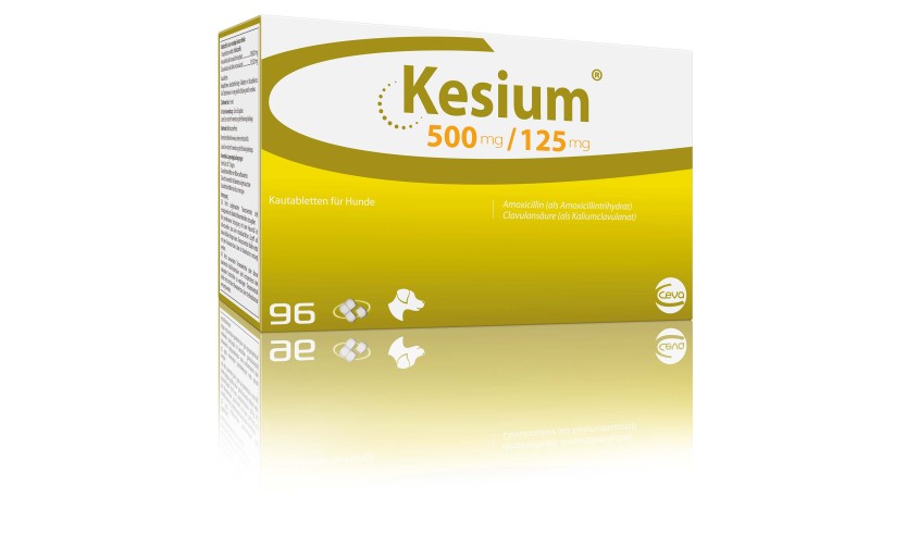 KESIUM 500/125 MG - PERRO - 96 COMP