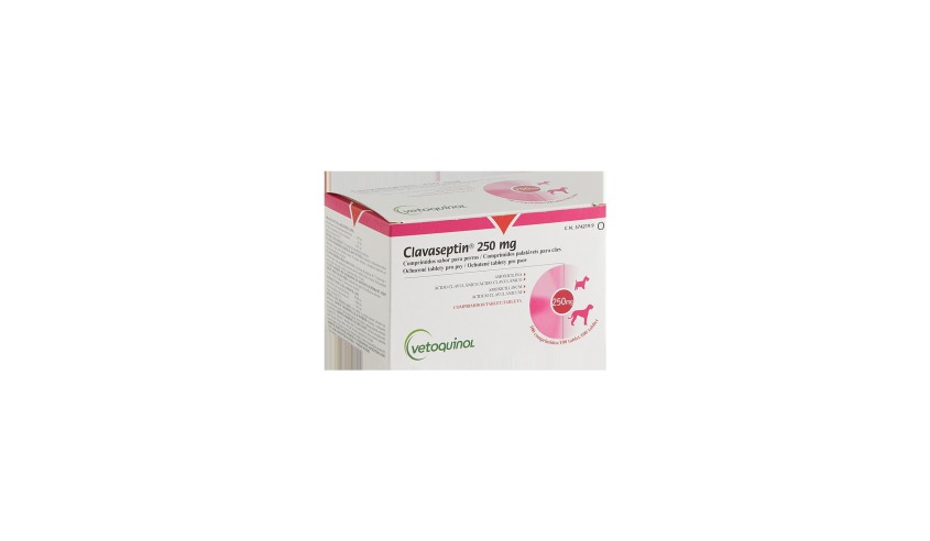 CLAVASEPTIN 250 MG 100 COMP