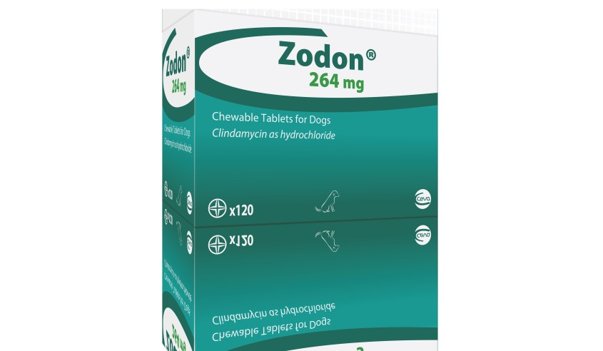 ZODON 264 MG - PERRO - 120 comp