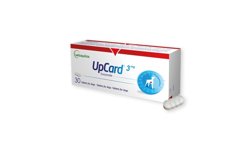 UPCARD 3 MG 100 COMP